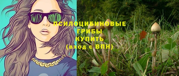 стаф Балахна