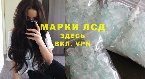 стаф Балахна