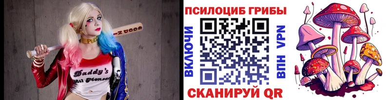 МЕГА зеркало  Высоковск  Галлюциногенные грибы мицелий 