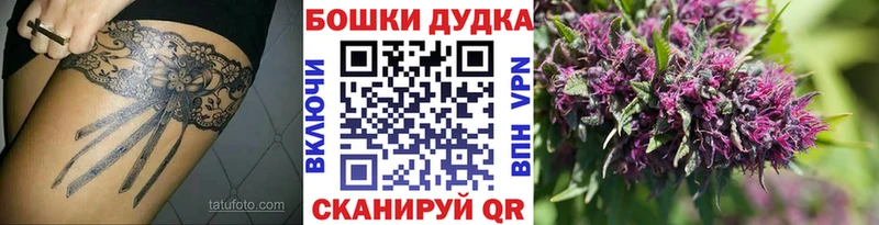 Бошки марихуана конопля Высоковск